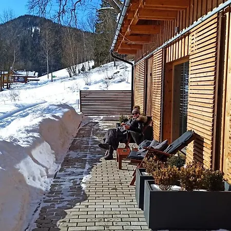 Pod Modrinem 아파트 *